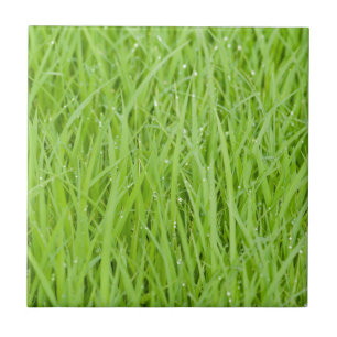 Green wet grass design ceramic tile