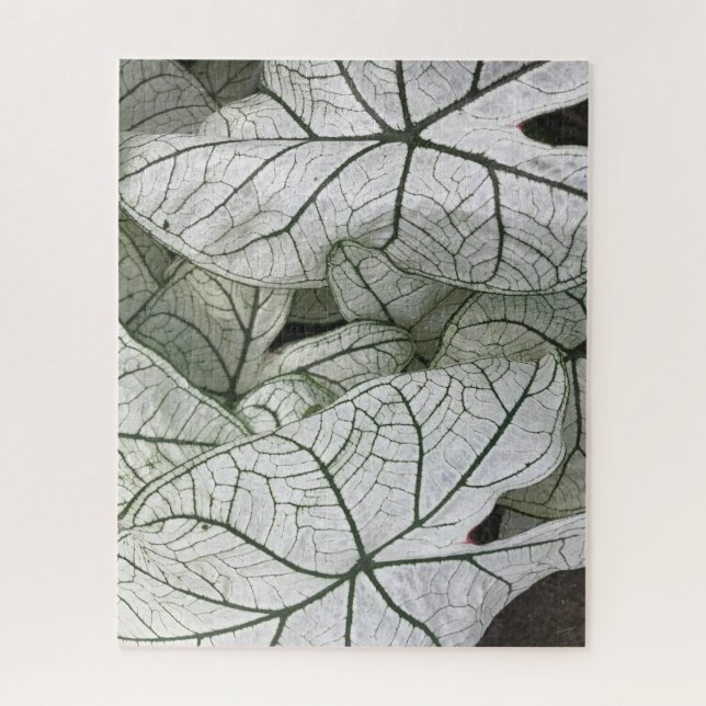 Green White Caladium Leaves Jigsaw Puzzle (Vertical)