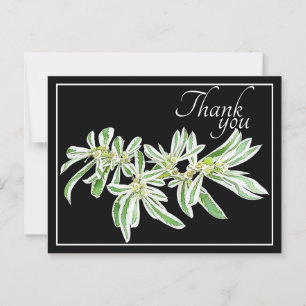 Green & White Leaves Black Background Thank You Postcard