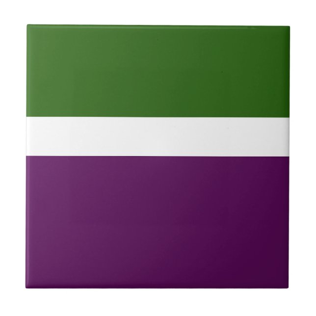 Green White Purple Plain Colour Block Design  Ceramic Tile (Front)