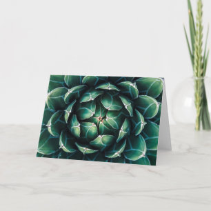 Green & White Succulent Card