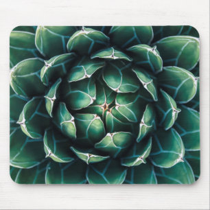 Green & White Succulent Mouse Pad