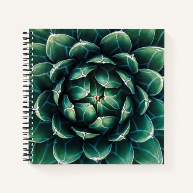 Green & White Succulent Notebook (Front)