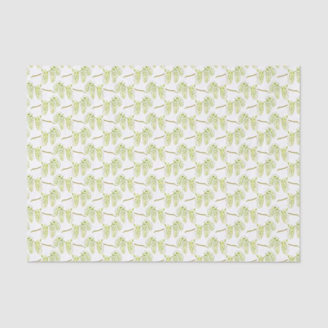 Green willow art watercolor tissue tissue paper (Front)