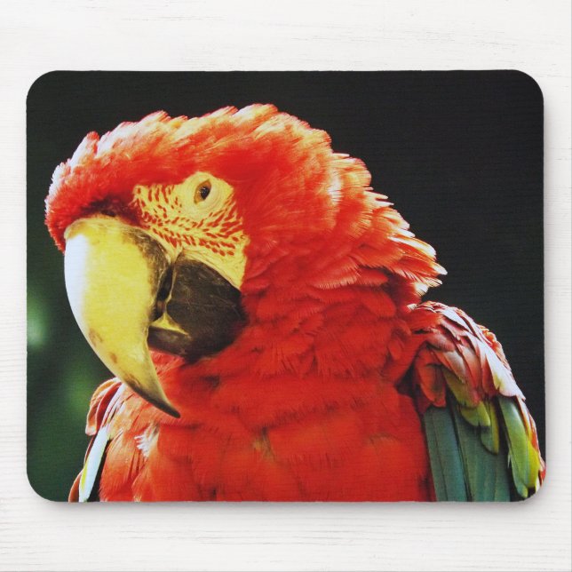 Green Winged Macaw Parrot Bird Close-Up Mouse Pad (Front)