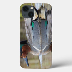 Green-winged Teal iPhone 13 Case