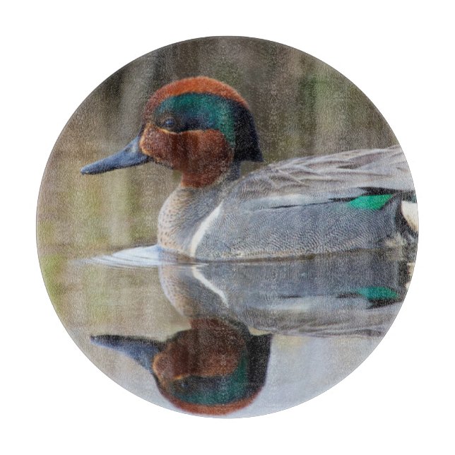 Green-winged Teal Cutting Board (Front)