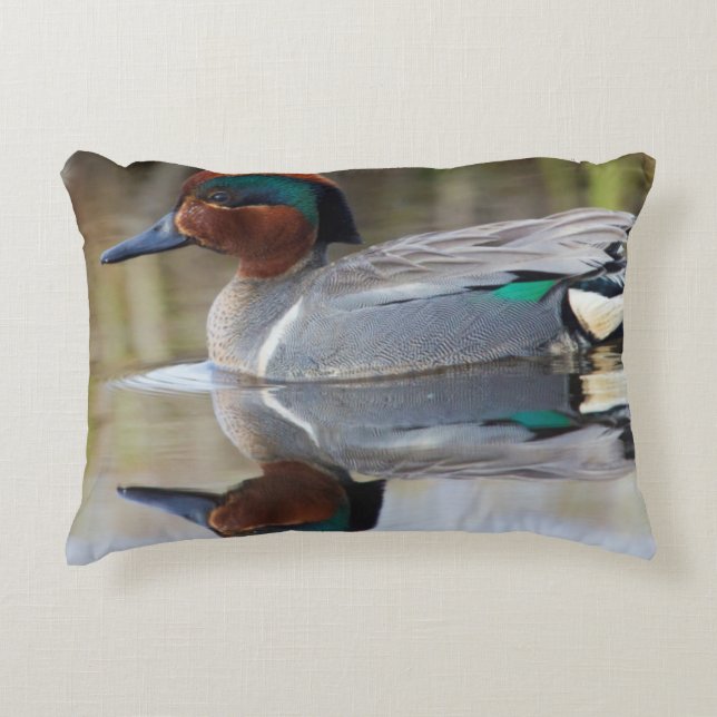 Green-winged Teal Decorative Cushion (Front)
