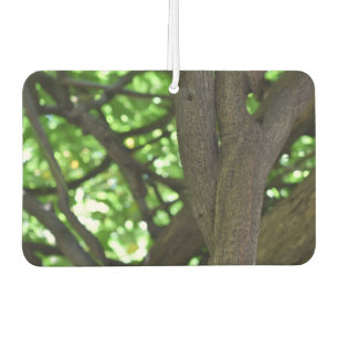 Green Wisteria Pergola Tree Nature Photography Car Air Freshener