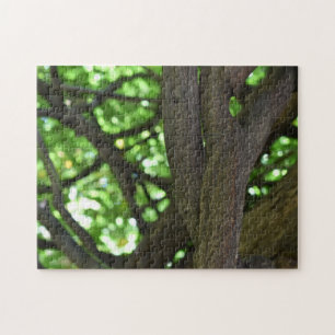 Green Wisteria Pergola Tree Nature Photography Jigsaw Puzzle