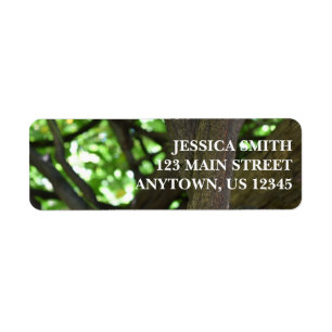Green Wisteria Pergola Tree Nature Photography Return Address Label