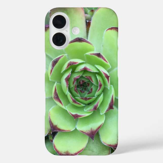Green with Purple Tips Succulent Close-Up Photo Case-Mate iPhone Case (Back)