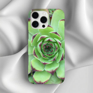 Green with Purple Tips Succulent Close-Up Photo iPhone 16 Pro Max Case