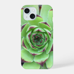 Green with Purple Tips Succulent Close-Up Photo iPhone 15 Case
