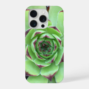 Green with Purple Tips Succulent Close-Up Photo iPhone 15 Pro Case