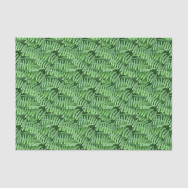 Green Woodland Ferns Pattern Nature    Tissue Paper (Front)