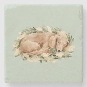 Green Yellow Leaves Fall Sleeping Dog Stone Coaster