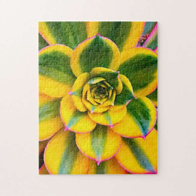 Green Yellow Pink Cactus Photo Beautiful Close Up Jigsaw Puzzle (Vertical)