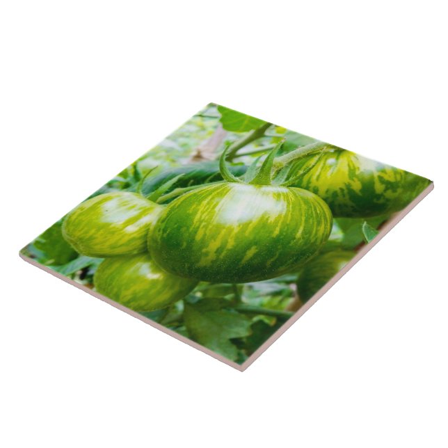 Green Zebra Heirloom Tomatoes on the Vine Ceramic Tile (Side)