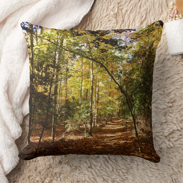 Greenbelt Park in Fall I Maryland Landscape Cushion (Blanket)