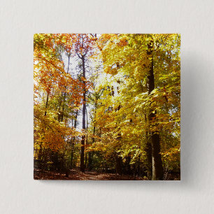 Greenbelt Park in Fall II Maryland Nature Scene 15 Cm Square Badge