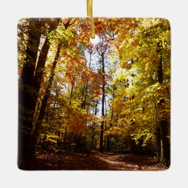 Greenbelt Park in Fall II Maryland Nature Scene Ceramic Ornament (Front)