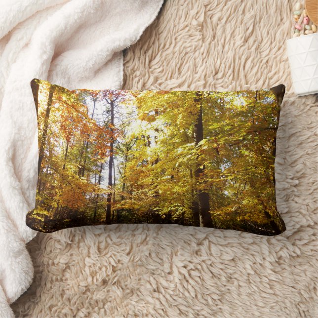 Greenbelt Park in Fall II Maryland Nature Scene Lumbar Cushion (Blanket)
