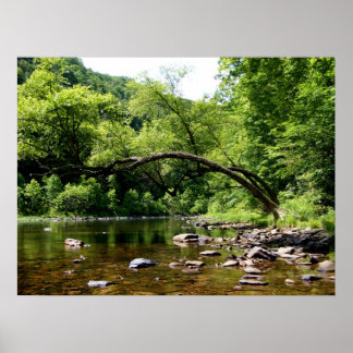 Greenbrier River Poster