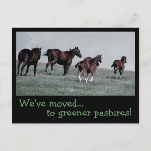 Greener Pastures... Announcement Postcard