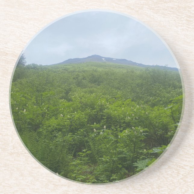 Greenery & Mountain View Coaster (Front)