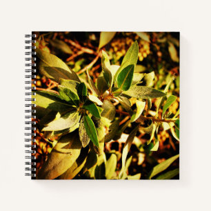 Greenery Notebook