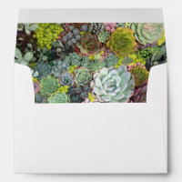 Greenery Succulents