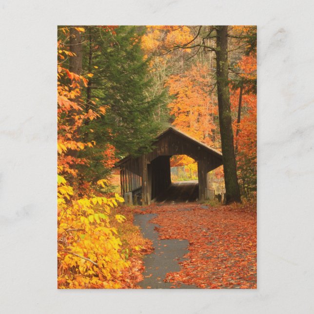 Greenfield Pumping Station Covered Bridge Postcard (Front)