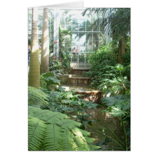 Greenhouse Flowers Seven