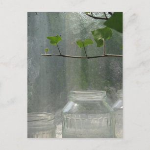 Greenhouse Postcard