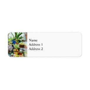 Greenhouse With Cactus Return Address Label