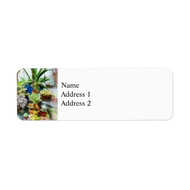 Greenhouse With Cactus Return Address Label (Front)