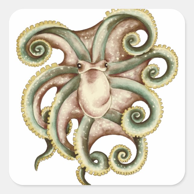 Greenish Octopus Square Sticker (Front)