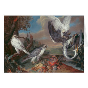 Greenland Cyr Falcons