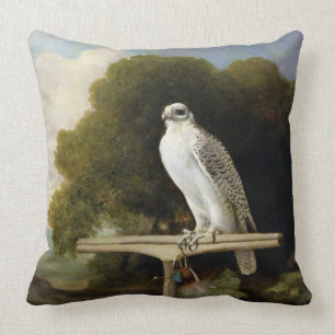 Greenland Falcon (Grey Falcon), 1780 (oil on panel Cushion