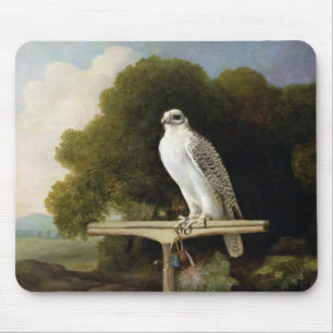 Greenland Falcon (Grey Falcon), 1780 (oil on panel Mouse Pad