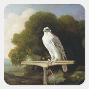Greenland Falcon (Grey Falcon), 1780 (oil on panel Square Sticker