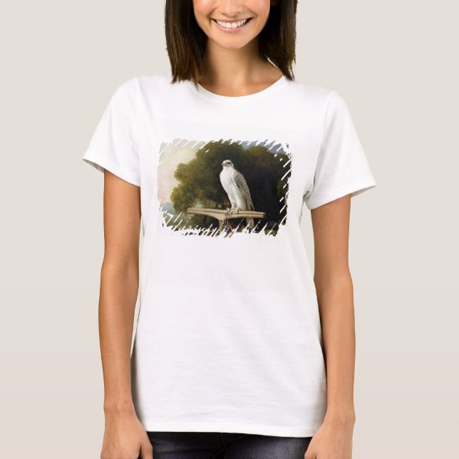 Greenland Falcon (Grey Falcon), 1780 (oil on panel T-Shirt (Front)