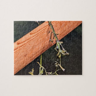 Greenland Paddle Puzzle