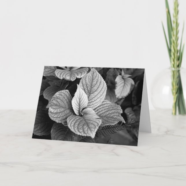 Greens in B/W Card (Front)