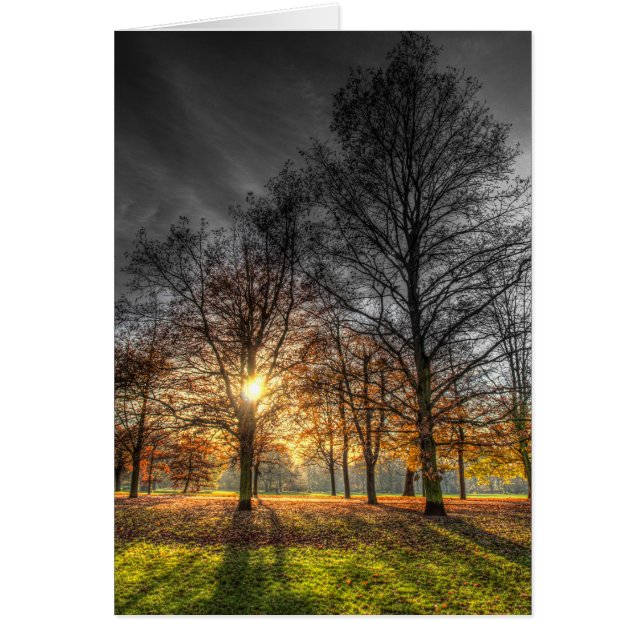 Greenwich Park London (Front)