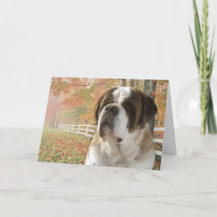 Greeting Card