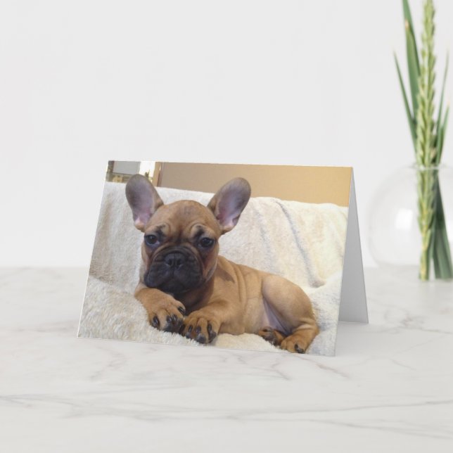 Greeting Card (Front)