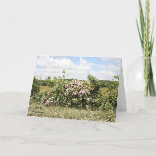 Greeting Card