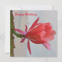 Greeting Card